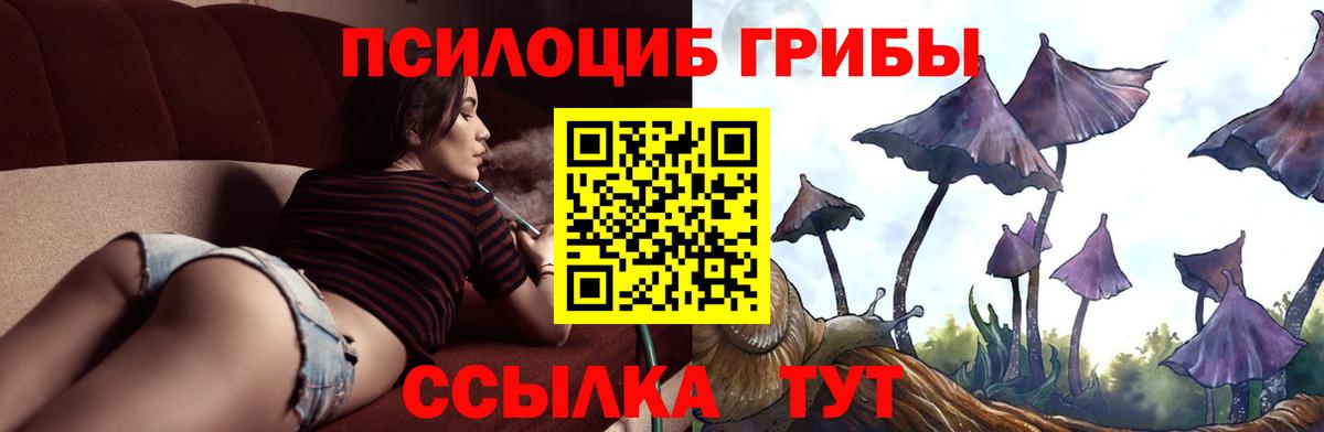 Псилоцибиновые грибы Psilocybe  что такое наркотик  Лабинск  Вход с VPN 